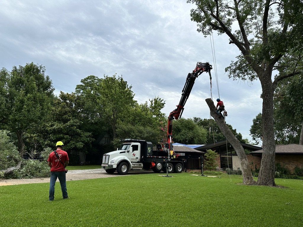 Crew removing a tree with the grapple crane