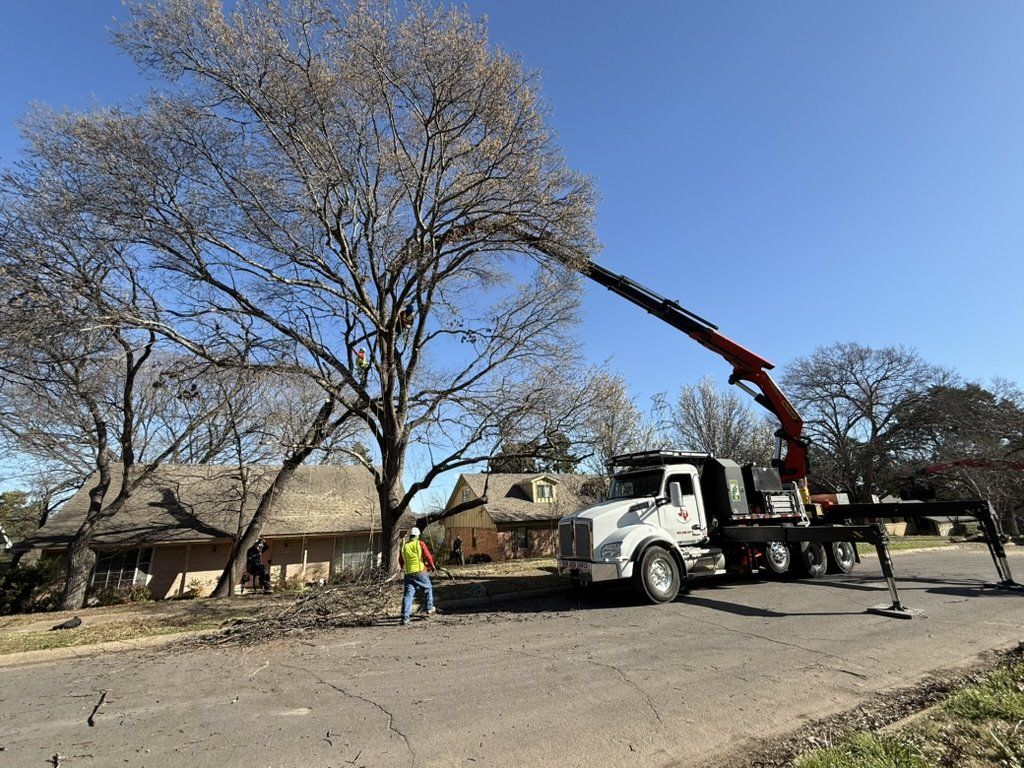 Texas Tree Transformations grapple saw truck reaching into a large tree